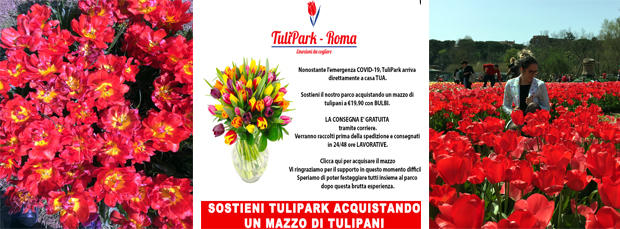 L'iniziativa del Tulipark causa coronavirus