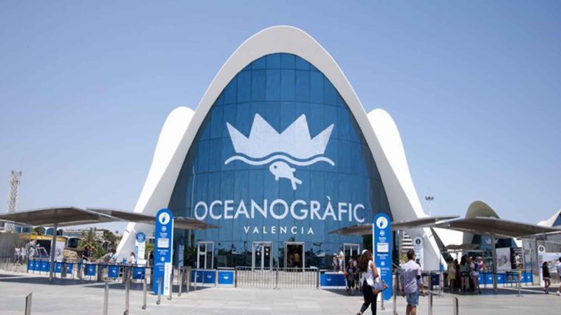 Acquario Oceanografic di Valencia, il mondo marino a portata di tutti