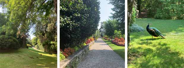 Il Parco dell'Isola Madre sul Lago Maggiore