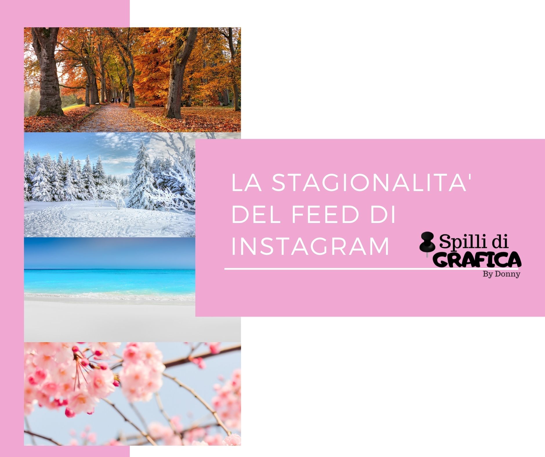 La stagionalità del feed di instagram, sai cos’è?