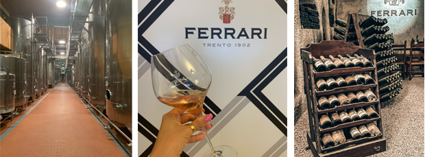 Cantine vinicole del Trentino: La cantina Ferrari a Trento