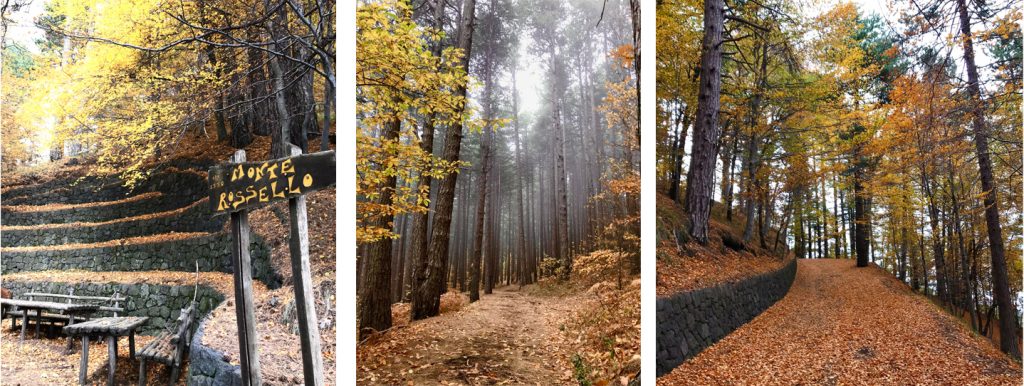  Il Foliage in Sicilia