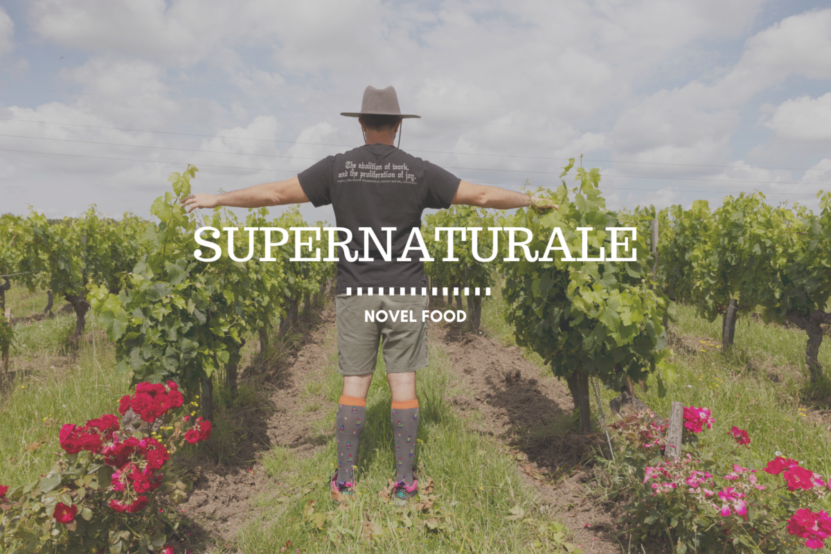 Nasce SuperNaturale, la prima azienda Novel Food
